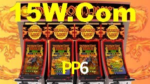 Programa VIP PP6