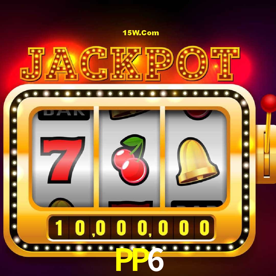 Security Systems PP6